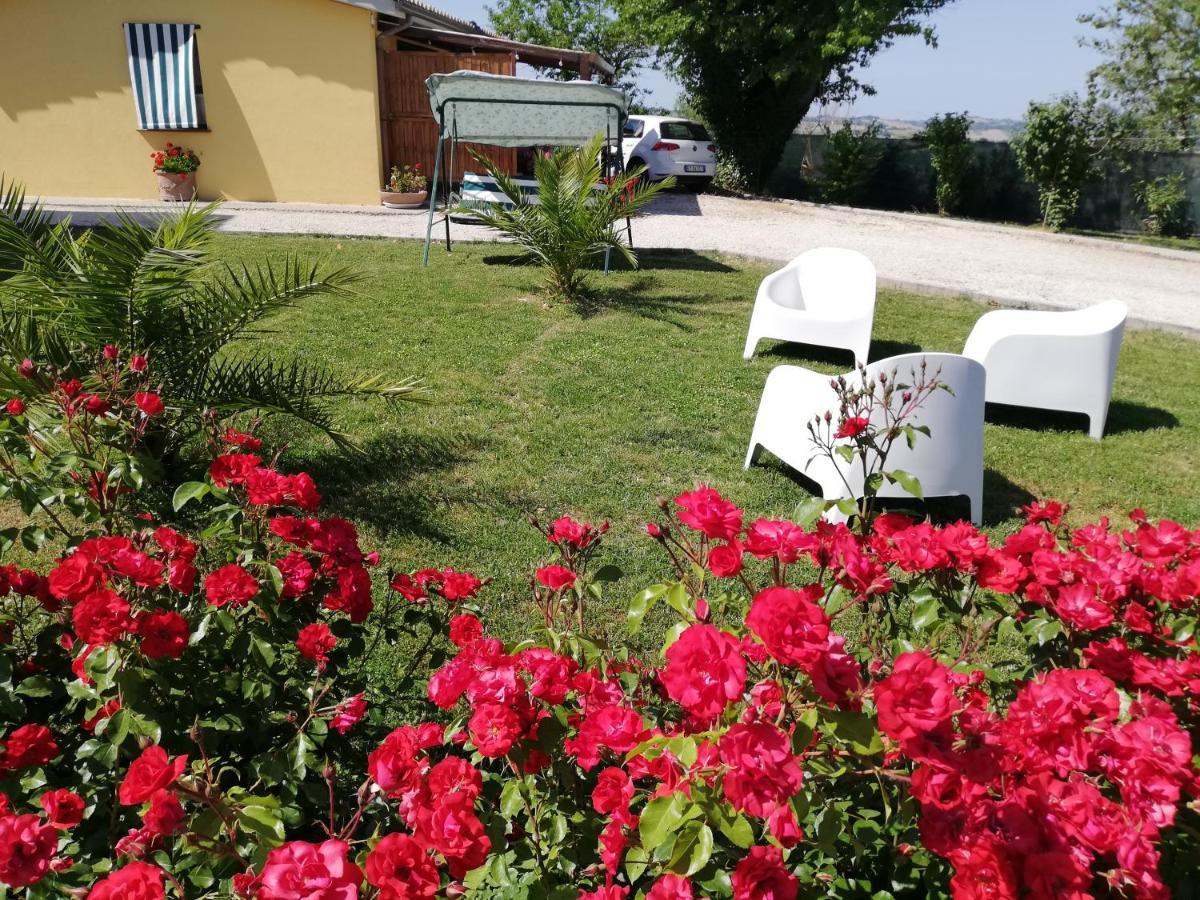 Casa Vacanze Angelica Ostra Vetere Εξωτερικό φωτογραφία