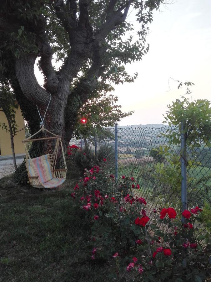 Casa Vacanze Angelica Ostra Vetere Εξωτερικό φωτογραφία