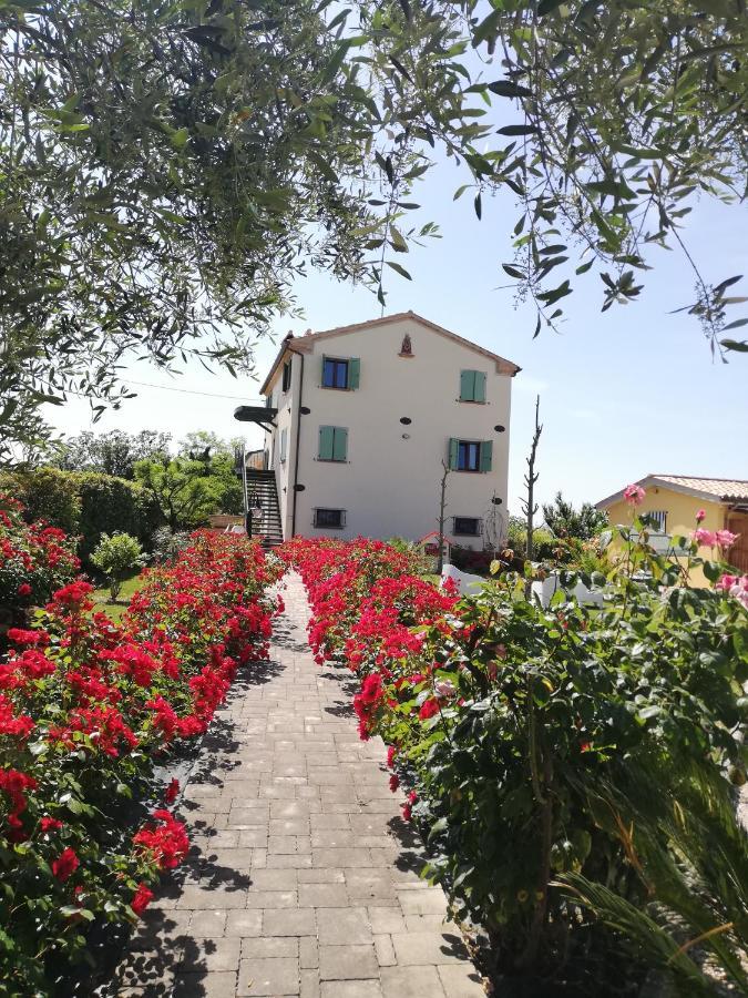 Casa Vacanze Angelica Ostra Vetere Εξωτερικό φωτογραφία