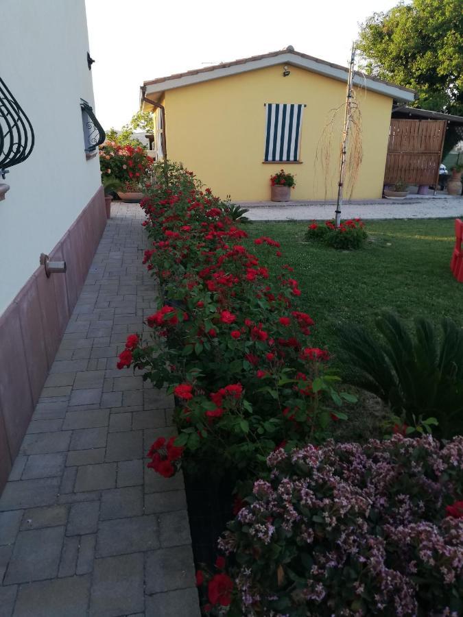 Casa Vacanze Angelica Ostra Vetere Εξωτερικό φωτογραφία